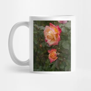 Two Roses Mug